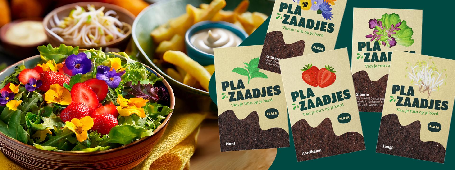 Plaza food for all